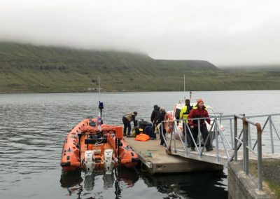 Mama Hulda auf Expedition nach Island. Auf der Suche nach den besten Eider-Daunen der Welt: Für den besten natürlichen Schlaf.